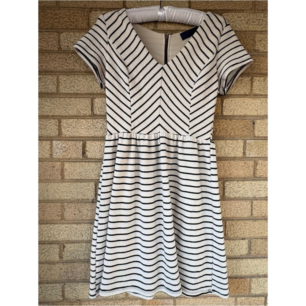 Striped V-Neck Fit and Flare Mini Dress in White and Black